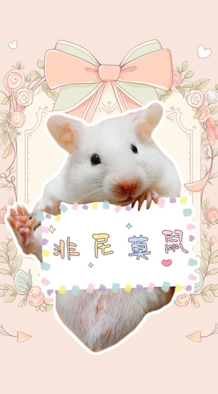 🐹非尼莫鼠❤️