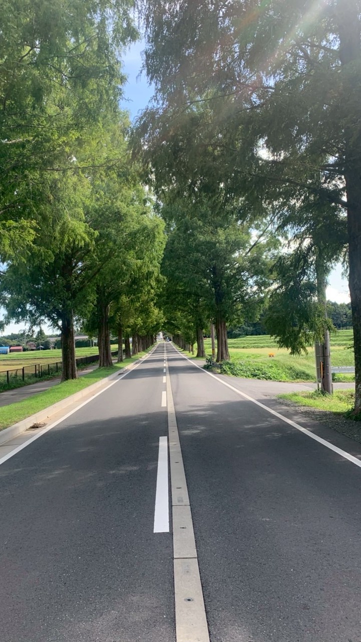 ひとり車中泊🚙キャンプ🏕️好きの方集まって🚗
