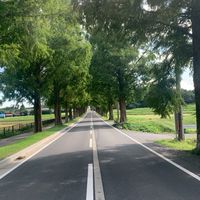 ひとり車中泊🚙キャンプ🏕️好きの方集まって🚗