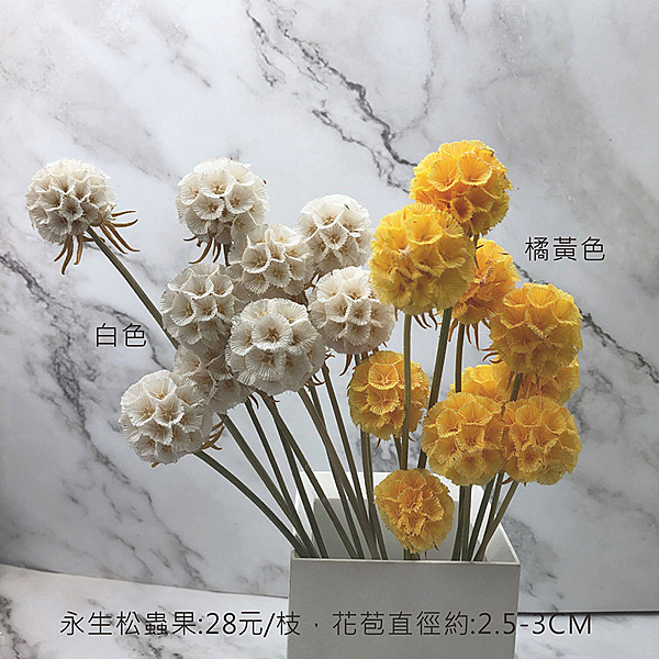 進口乾燥天然-乾燥花圈 乾燥花束 不凋花 拍照道具 室內擺飾 乾燥花材 裝飾插花鄉村風