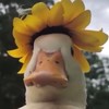 秀工 ㄎㄧˉ厝囉