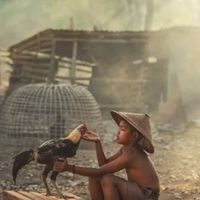พม่าตอคม แสนคม โคราช🐓