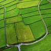 わくわく! 俳句しりとり広場