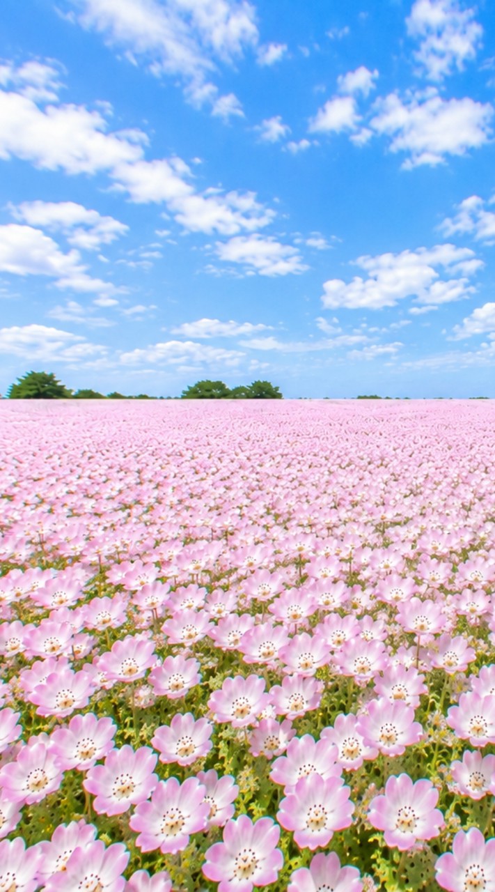 かおりん🌷のあなたのパワースポットはここにある‼️✨️
