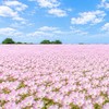 かおりん🌷のあなたのパワースポットはここにある‼️✨️