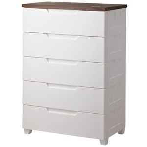 日本精緻工藝 免組裝，即買即用 五層抽屜收納櫃，大容量抽屜 超靜音鐵製滑軌，使用順暢 密封式櫃體 食品級 PP 塑膠材質 複合材質：塑膠 PP、中密度纖維板、鐵滑軌 安全承重-天板10公斤、抽屜4公斤