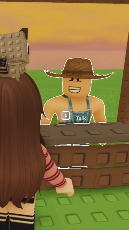 CHIxRoblox