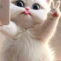 猫の友人帳