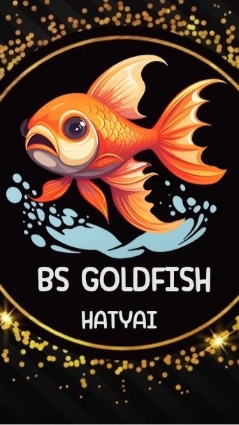 BS GOLDFISH HATYAI
