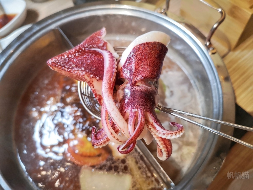 PhotoCap_089