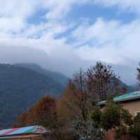 115-01-09武界雲海民宿