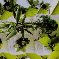 農漁業節能科技