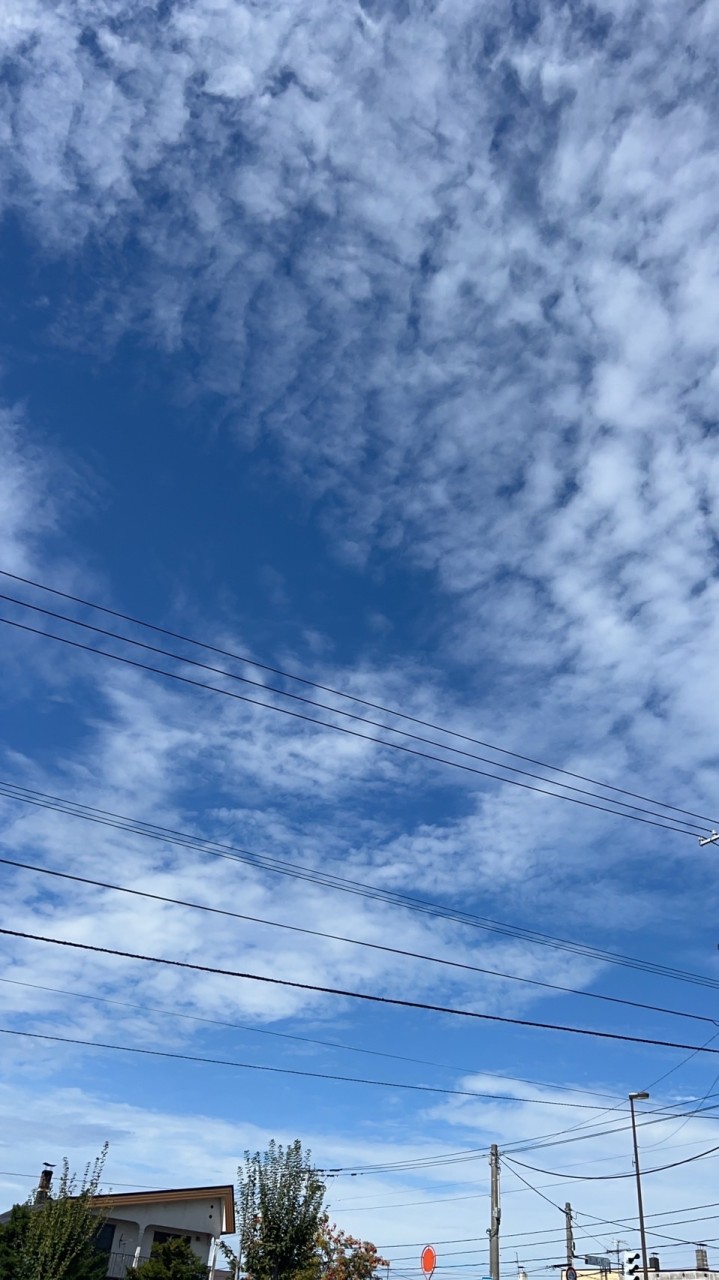 看護学生🧑‍🎓トークroom