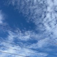 看護学生🧑‍🎓トークroom