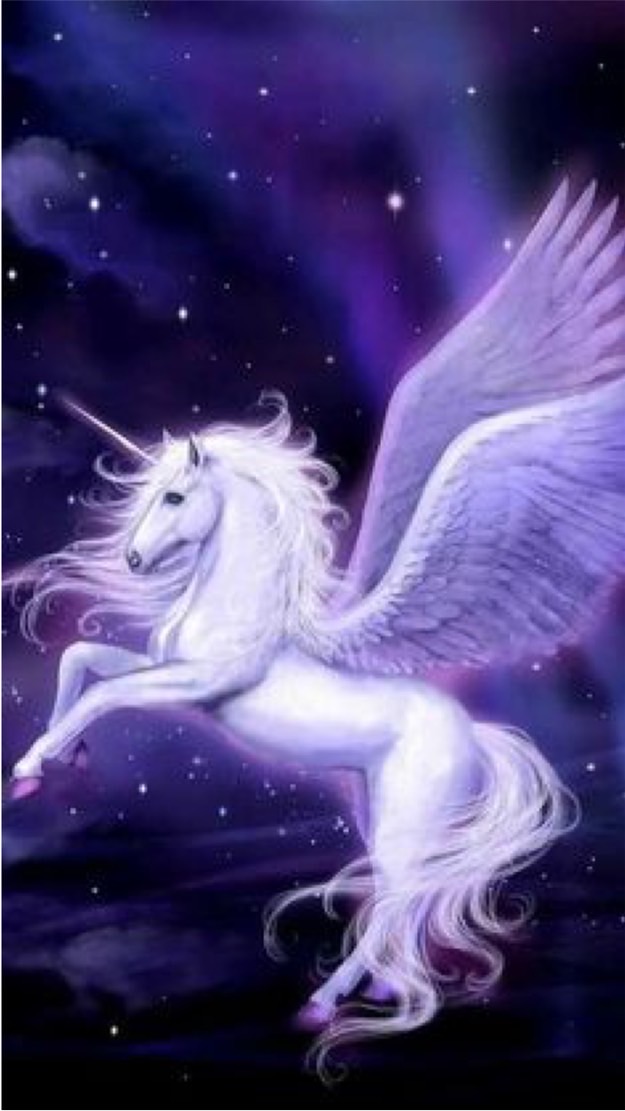 🦄️獨角獸計畫-每日1調頻