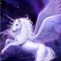 🦄️獨角獸計畫-每日1調頻