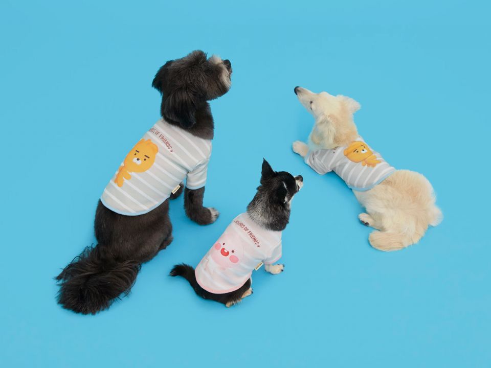 圖片來源：KAKAO FRIENDS.KR