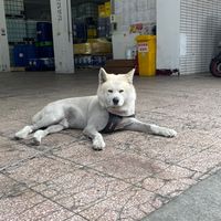 征服之海NTD聯盟