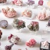 Una 晶礦選品 ✿ 代購交流群