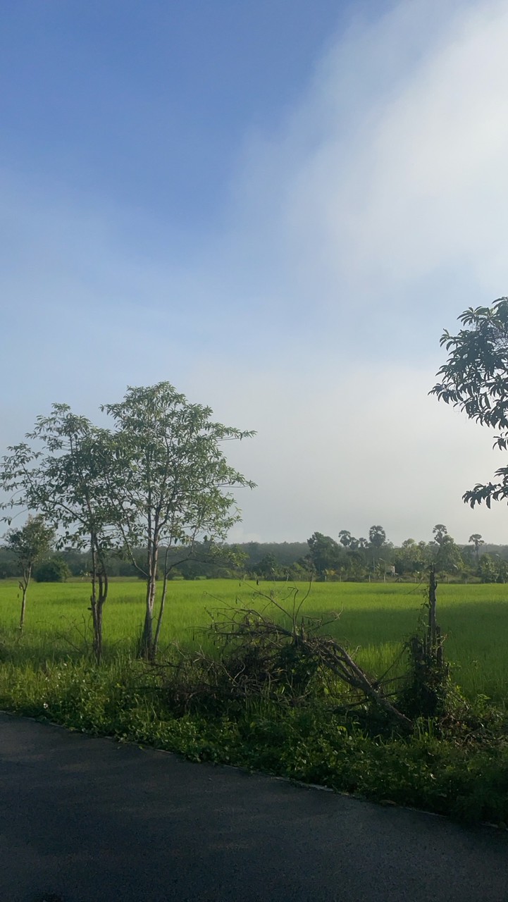 ฝึกงาน 2568