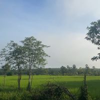 ฝึกงาน 2568