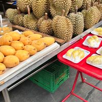 🇹🇭BZ日韓泰國連線代購-1/29-2/4曼谷🇹🇭