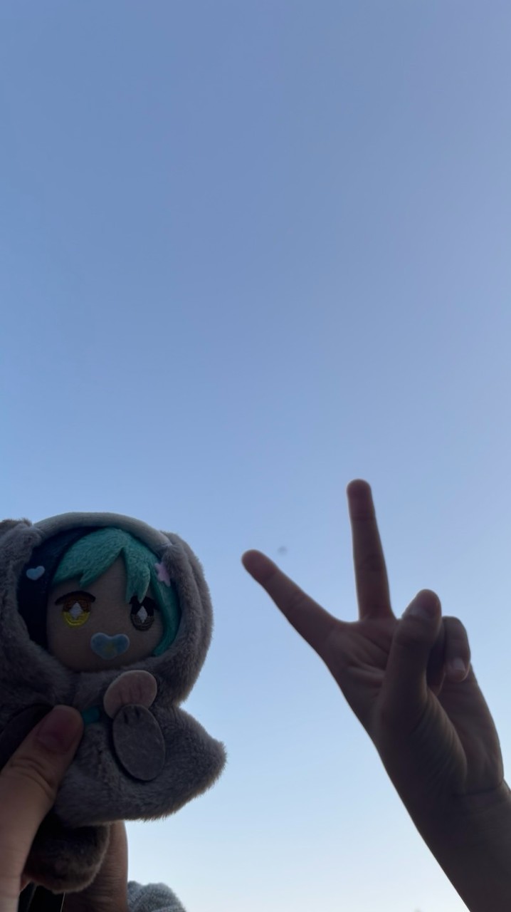 ぬい撮りしたいみたい子集まれ〜