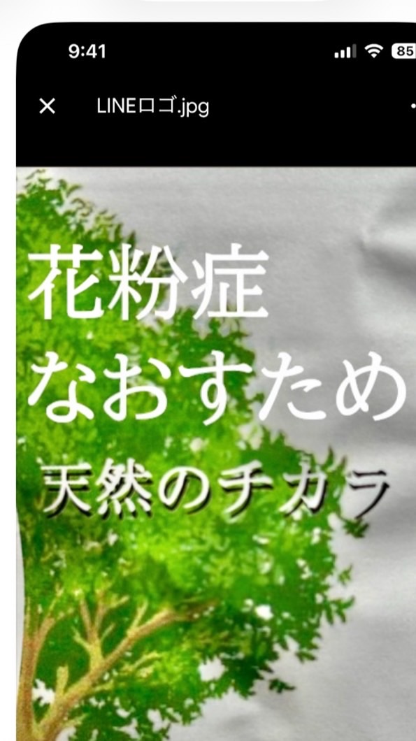 花粉症　なおすため