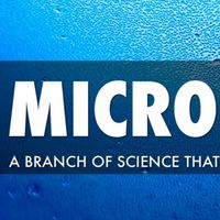 👩🏻‍🔬 GENERAL MICROBIOLOGY  พุธ 13.00-16.00 👨🏻‍🔬