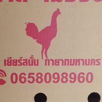 ต้นตาล เมืองพล 2
