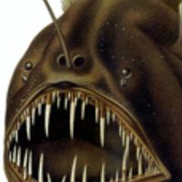 roblox players (old openchat!!!)