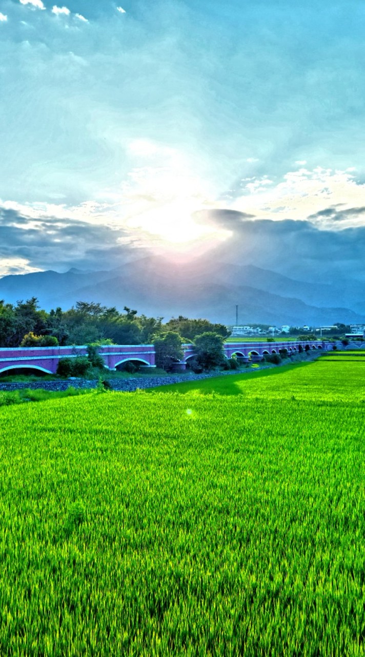 【綠手指與吃貨的🏡生活補給站🛍️】