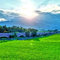 【綠手指與吃貨的🏡生活補給站🛍️】