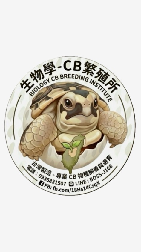 進化論-烏龜競標社群