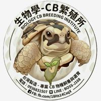 進化論-烏龜競標社群