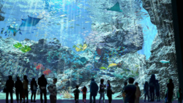 水男孩、水美眉暑假何處去？ 海洋系玩法大公開