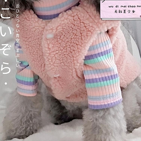 狗狗衣服 冬季小狗狗衣服馬甲小型犬貓咪棉衣女吉娃娃泰迪比熊博美秋冬裝厚 美物居家