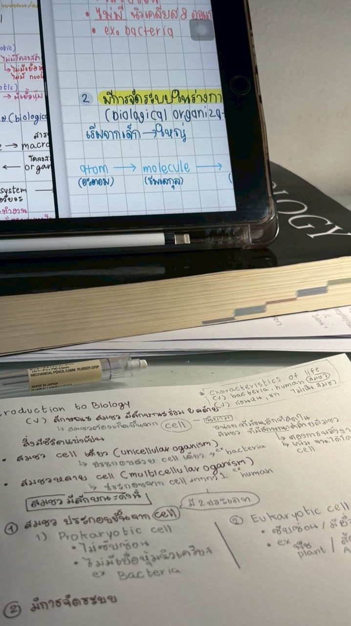 Study with Bua