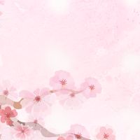 護骨照骨更愛骨