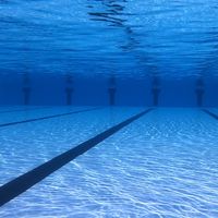 安溪暑期游泳課程🏊