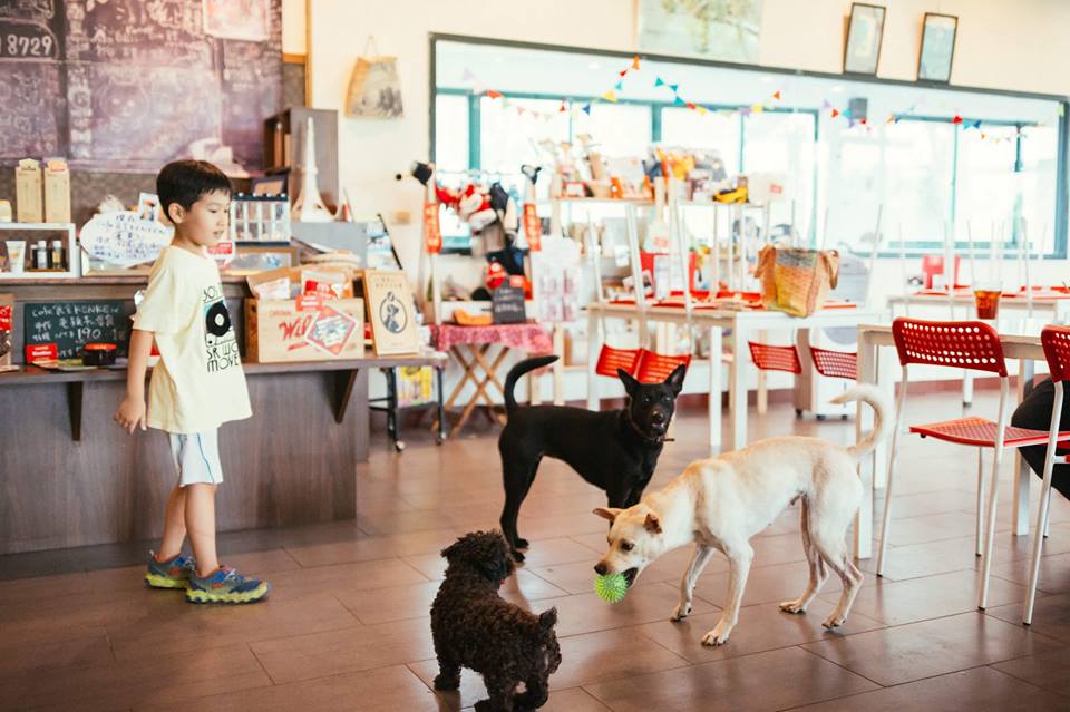 KenKen食堂 日式料理 新竹 親子餐廳