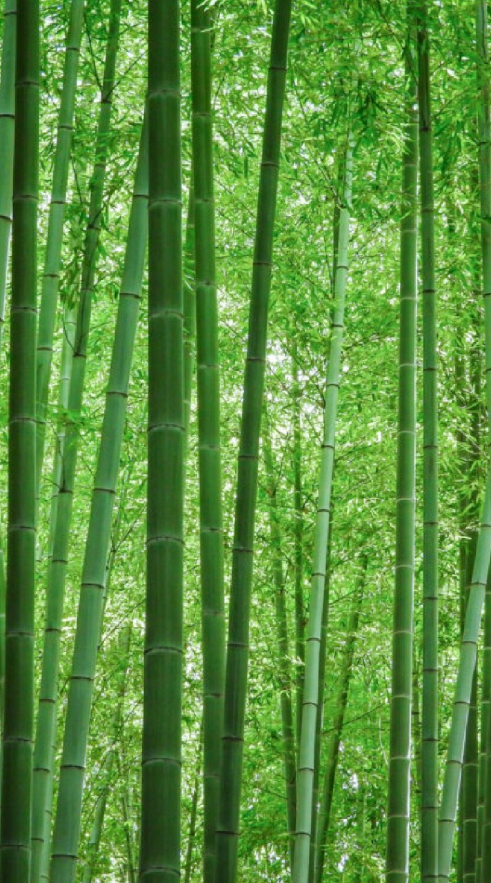銀活倶楽部