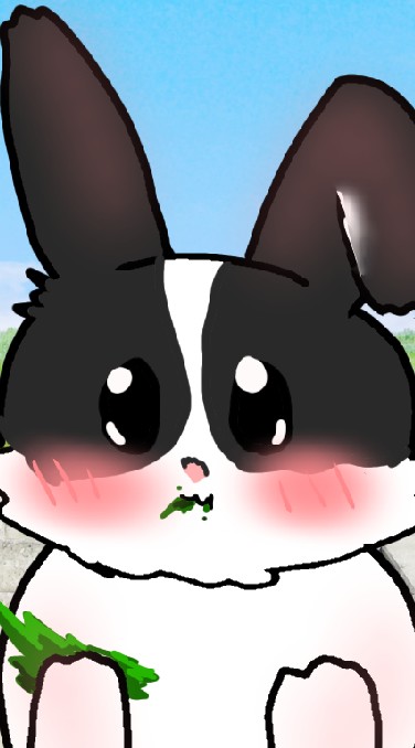 🐰รวมพลคนรักเจ้ากระต่ายน้อย🐰