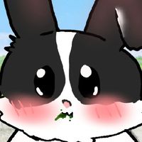 🐰รวมพลคนรักเจ้ากระต่ายน้อย🐰