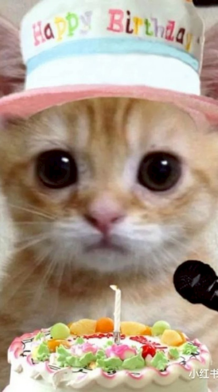 ครอบครัวสุกจนไหม้