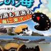 ナマコ王国  雑談OK