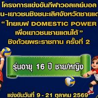 ไทยเบฟ DOMESTIC POWER (รุ่นอายุ 16 ปี)