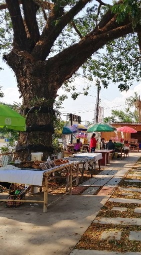ตลาดนัดของกินนครพนม