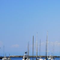 在日上海人
