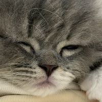 雑談しよーっ！